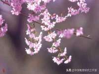 昆山聚垒商贸有限公司