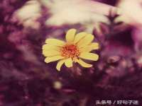 昆山聚垒商贸有限公司