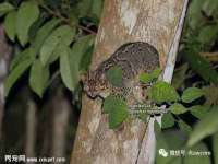 昆山聚垒商贸有限公司