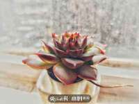 昆山聚垒商贸有限公司