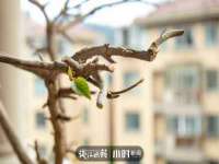 昆山聚垒商贸有限公司