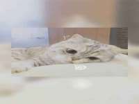 昆山聚垒商贸有限公司